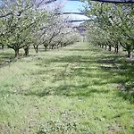 Agriturismoteo Bernalda