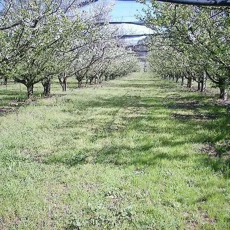 Agriturismoteo ברנאלדה