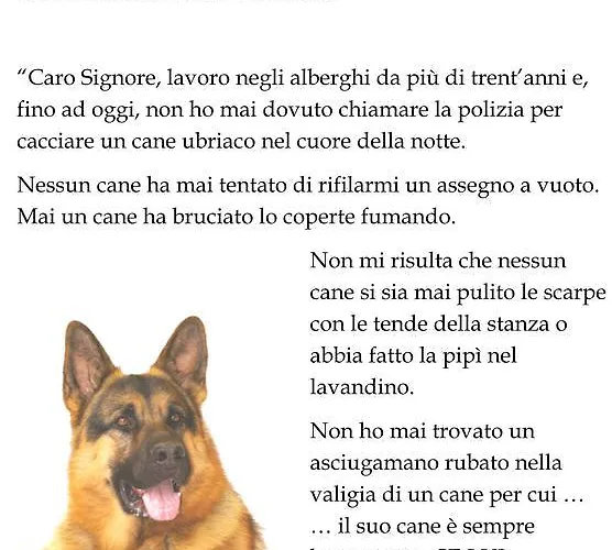 阿格瑞斯莫提酒店 农家乐 贝尔纳尔达