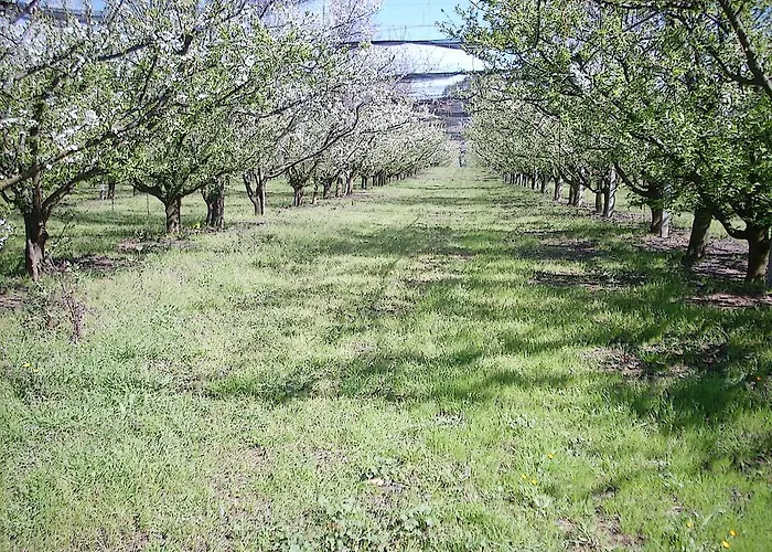 Agriturismoteo Bernalda